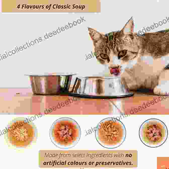 A Bowl Of Fish And Vegetable Catnip Soup For Cats Pet Food: 16 Dessert Recipes To Make You Smile