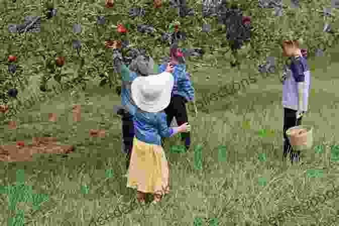A Group Of Children Picking Apples In An Orchard We Re Going To The Farm (Xist Children S Books)