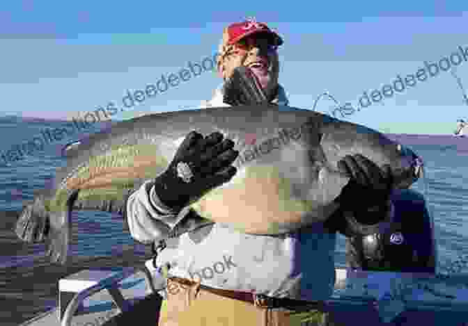 A Group Of Fishermen On A Dock, Holding Large Catfish Florida Curiosities (Curiosities Series) Rob Robideau