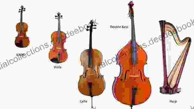A Group Of String Instruments, Including Violin, Cello, Viola, And Double Bass. Movie Instrumental Solos For Strings
