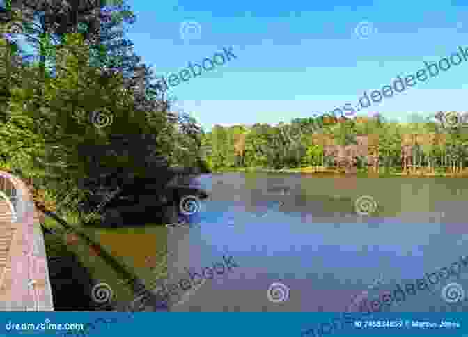 A Serene Lake Surrounded By Lush Greenery On Wilderness Island Wilderness Island Gladys Malvern