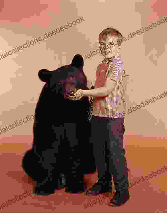 Image Of Ollie, A Brown Bear With A Gentle Expression And A Paintbrush In His Hand Gossie And Gertie (Gossie Friends)