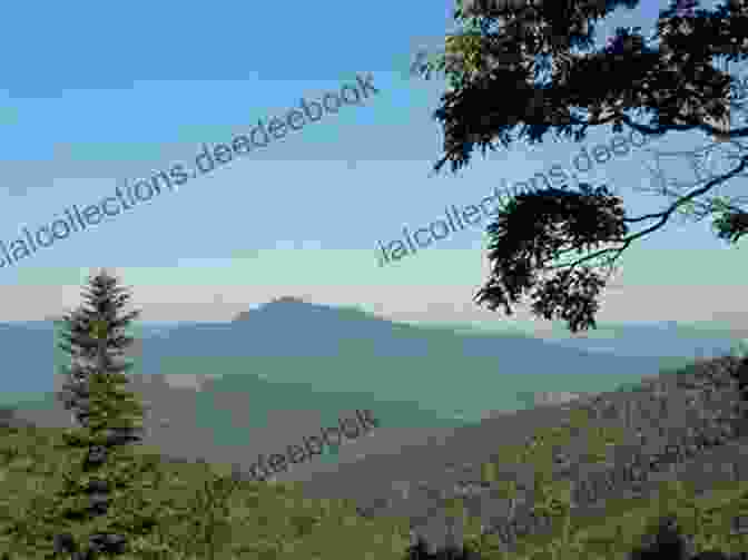 Mount Pisgah Trail Offering Panoramic Views From The Scenic Summit Best Hikes Near Asheville North Carolina (Best Hikes Near Series)
