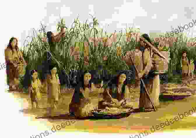Native American Farmers Tending To Their Crops Indian Givers: How Native Americans Transformed The World