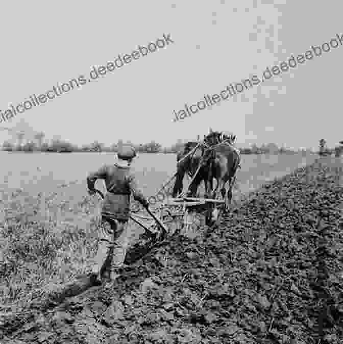 Pioneer Children Working On The Canadian Prairies In The Early 1900s Heavy Burdens On Small Shoulders: The Labour Of Pioneer Children On The Canadian Prairies