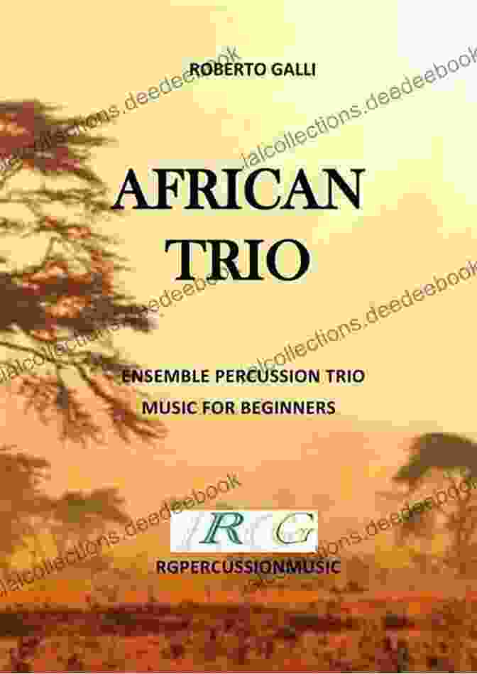 Roberto Galli And His African Trio Performing Live On Stage AFRICAN TRIO ROBERTO GALLI