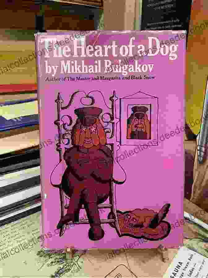Vintage Edition Of Mikhail Bulgakov's Heart Of A Dog Novel Heart Of A Dog Mikhail Bulgakov