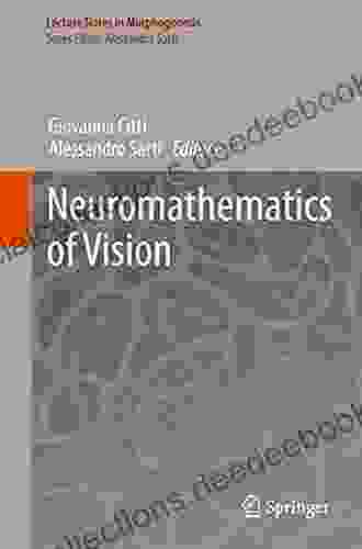 Neuromathematics Of Vision (Lecture Notes In Morphogenesis)