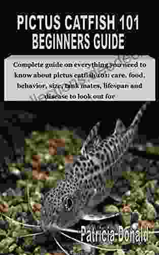 PICTUS CATFISH 101 BEGINNERS GUIDE: Complete Guide On Everything You Need To Know About Pictus Catfish 101: Care Food Behavior Size Tank Mates Lifespan And Disease To Look Out For