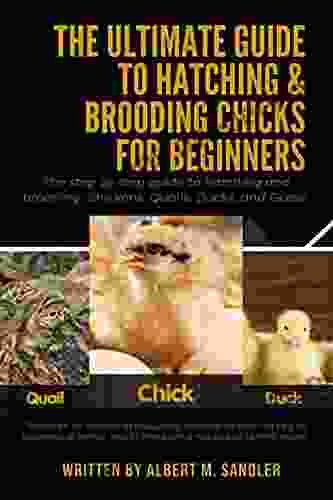 The Ultimate Guide To Hatching Brooding Chicks For Beginners: The Step By Step Guide To Hatching And Brooding: Chickens Quails Ducks And Geese